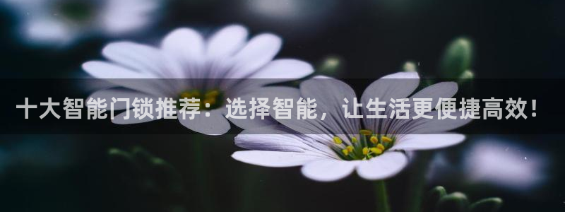 富联娱乐首页在哪找到：十大智能门锁推荐：选择智能，让生活更便