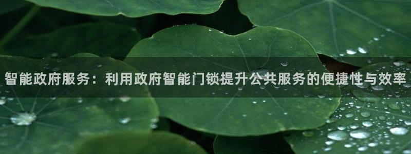 富联娱乐正规吗安全吗：智能政府服务：利用政府智能门锁提升公共
