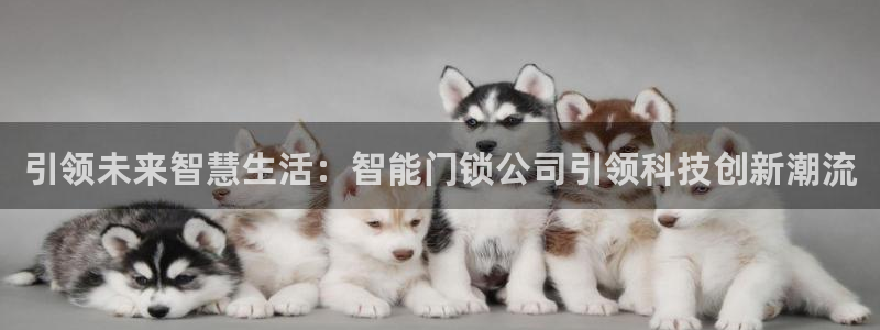 富联娱乐测速软件下载：引领未来智慧生活：智能门锁公司引领科技