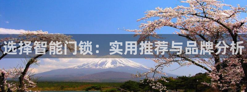 富联娱乐服务公司：选择智能门锁：实用推荐与品牌分析
