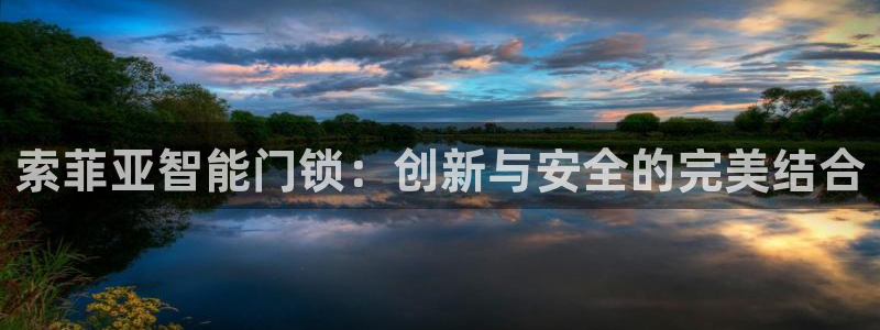富联娱乐首页网站入口：索菲亚智能门锁：创新与安全的完美结合