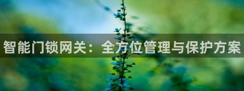 富联娱乐QQ：智能门锁网关：全方位管理与保护方案