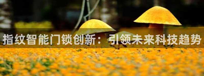 富联娱乐分红怎么样：指纹智能门锁创新：引领未来科技趋势
