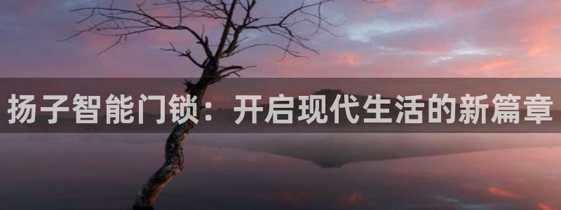 富联娱乐招商咱7O777：扬子智能门锁：开启现代生活的新篇章
