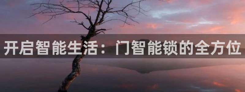 嘉峪关富联娱乐平台：开启智能生活：门智能锁的全方位