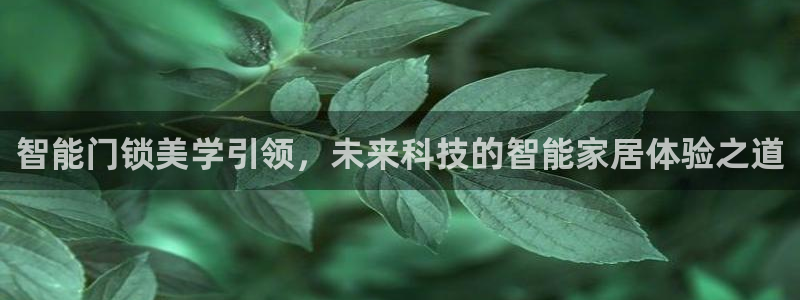 富联娱乐于67五壹叁八：智能门锁美学引领，未来科技的智能家居