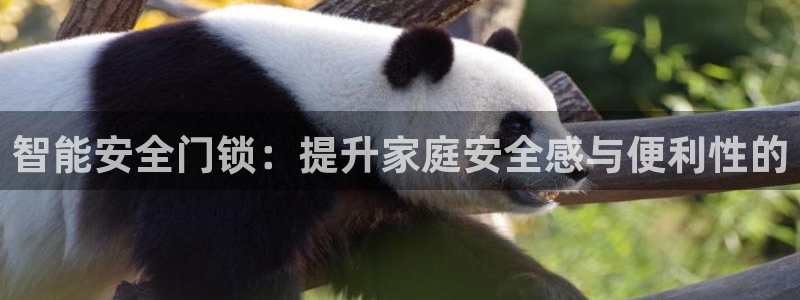 富联娱乐平台下载app：智能安全门锁：提升家庭安全感与便利性