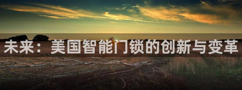 富联娱乐招商方判官333OO：未来：美国智能门锁的创新与变革