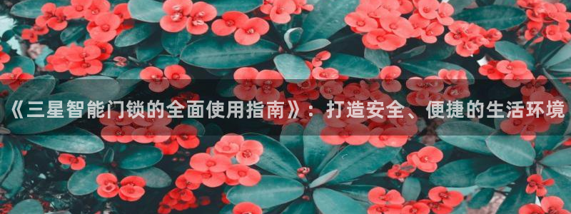 富联娱乐下载免费版app：《三星智能门锁的全面使用指南》：打