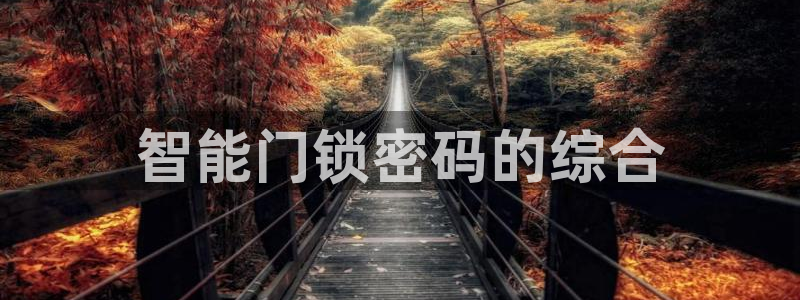 富联娱乐各究7276O：智能门锁密码的综合