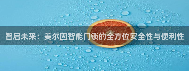 富联娱乐主管去判官333OO：智启未来：美尔固智能门锁的全方