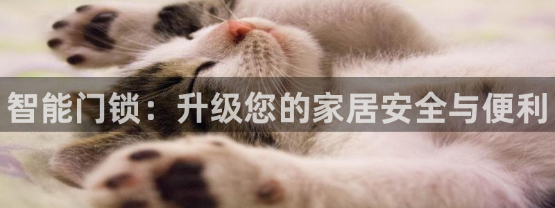 富联娱乐平台能挣到钱吗：智能门锁：升级您的家居安全与便利