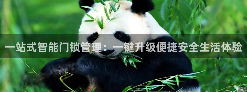 富联娱乐招商主管部门：一站式智能门锁管理：一键升级便捷安全生
