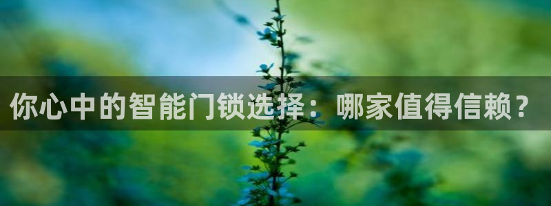 富联娱乐开户费用查询：你心中的智能门锁选择：哪家值得信赖？