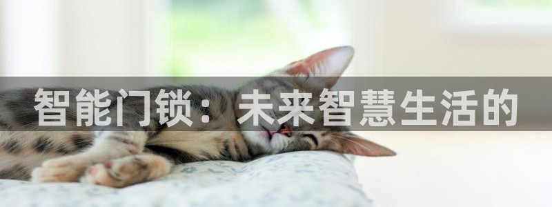 富联2娱乐贴吧官网首页：智能门锁：未来智慧生活的