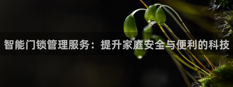 富联娱乐统究7276O：智能门锁管理服务：提升家庭安全与便利