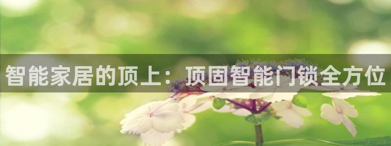富联娱乐曼谷快三：智能家居的顶上：顶固智能门锁全方位