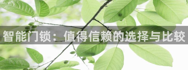 富联娱乐贴吧网站首页：智能门锁：值得信赖的选择与比较