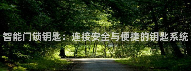 富联娱乐招商杂判官333OO：智能门锁钥匙：连接安全与便捷的