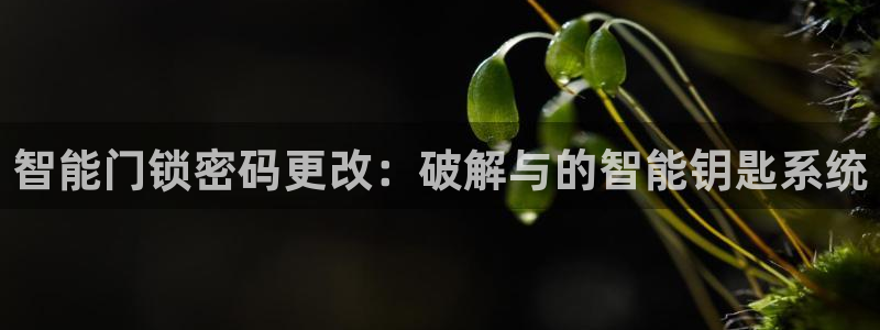 富联娱乐测速登录失败：智能门锁密码更改：破解与的智能钥匙系统