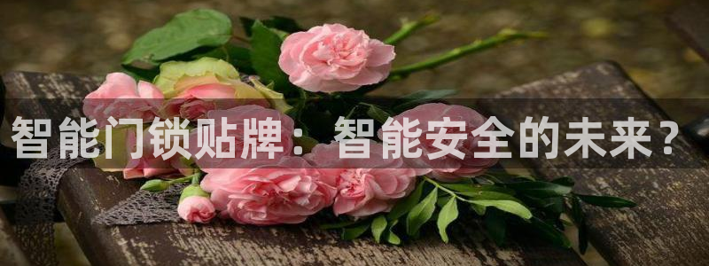 富联2娱乐贴吧官网：智能门锁贴牌：智能安全的未来？