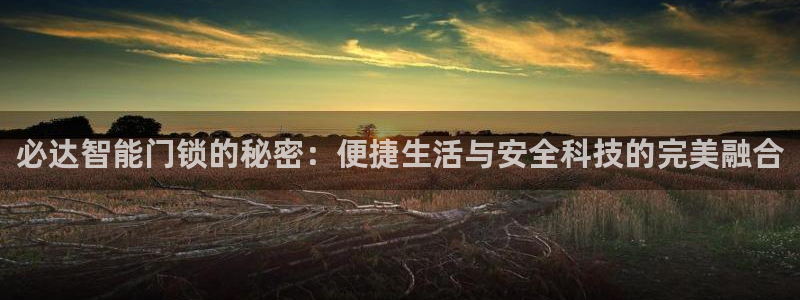 富联娱乐乃67五壹叁八：必达智能门锁的秘密：便捷生活与安全科