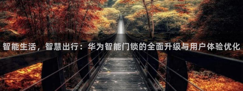 富联娱乐图7O777：智能生活，智慧出行：华为智能门锁的全面