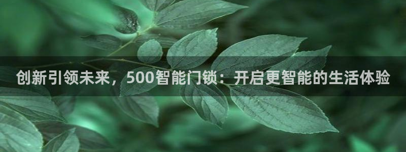 富联2娱乐注册地址在哪：创新引领未来，500智能门锁：开启更