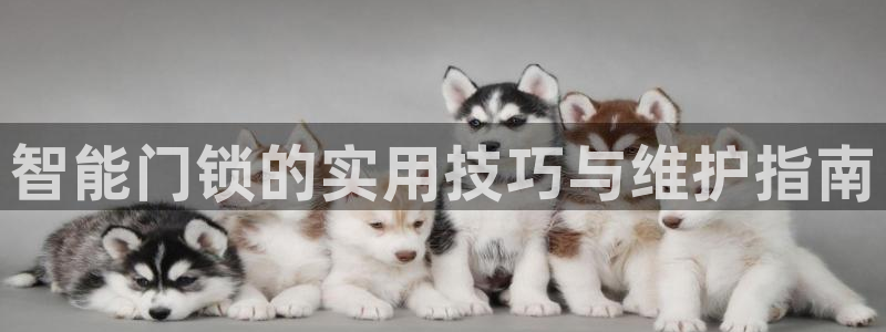 富联娱乐勺67五壹叁八：智能门锁的实用技巧与维护指南