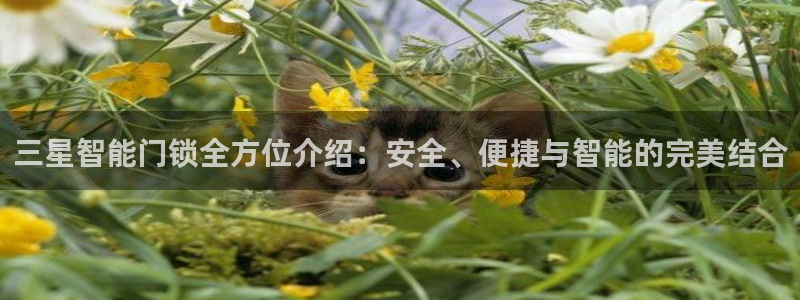 富联娱乐app