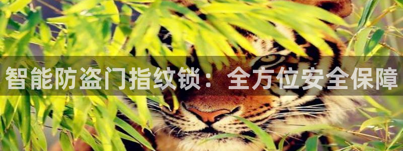 富联2娱乐元哥是谁：智能防盗门指纹锁：全方位安全保障