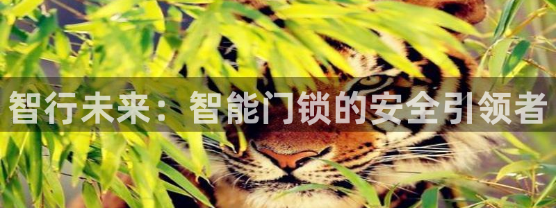 富联娱乐主管是谁呀图片：智行未来：智能门锁的安全引领者