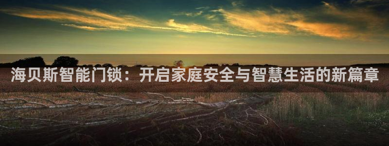 富联娱乐女团排名多少名：海贝斯智能门锁：开启家庭安全与智慧生