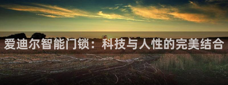 富联娱乐招商统判官333OO：爱迪尔智能门锁：科技与人性的完
