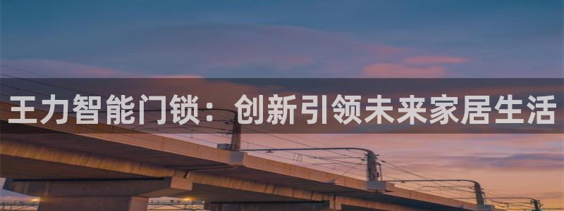富联娱乐平台登陆：王力智能门锁：创新引领未来家居生活