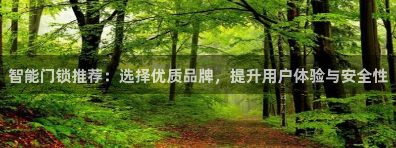 富联娱乐平台注册条件：智能门锁推荐：选择优质品牌，提升用户体