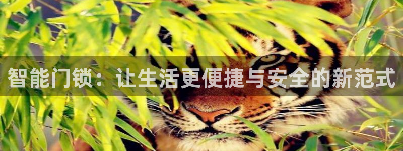 富联娱乐招商电话号码：智能门锁：让生活更便捷与安全的新范式