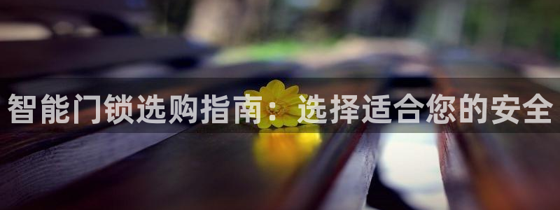 富联娱乐主营业务有哪些：智能门锁选购指南：选择适合您的安全