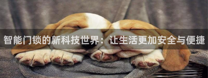 富联娱乐测速登录：智能门锁的新科技世界：让生活更加安全与便捷