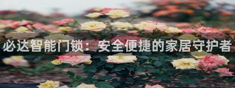 富联娱乐主营业务范围：必达智能门锁：安全便捷的家居守护者