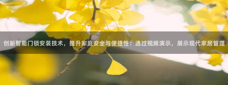 富联2娱乐元哥是谁：创新智能门锁安装技术，提升家庭安全与便捷