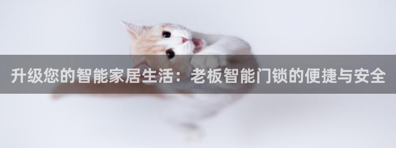 富联娱乐系究7276O：升级您的智能家居生活：老板智能门锁的