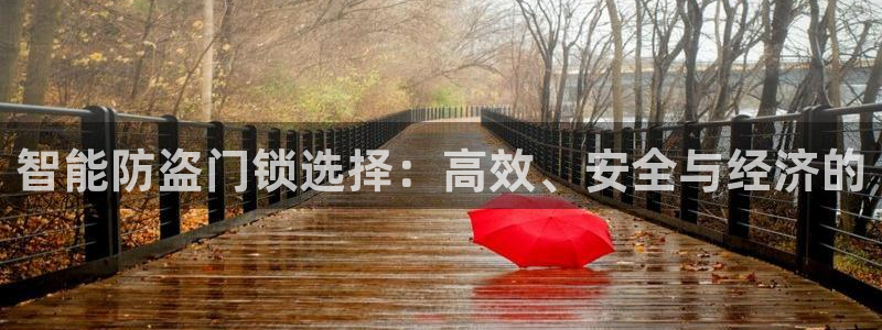 富联娱乐贴吧网站首页：智能防盗门锁选择：高效、安全与经济的