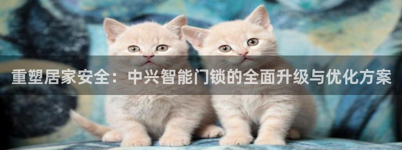 富联娱乐解究7276O：重塑居家安全：中兴智能门锁的全面升级