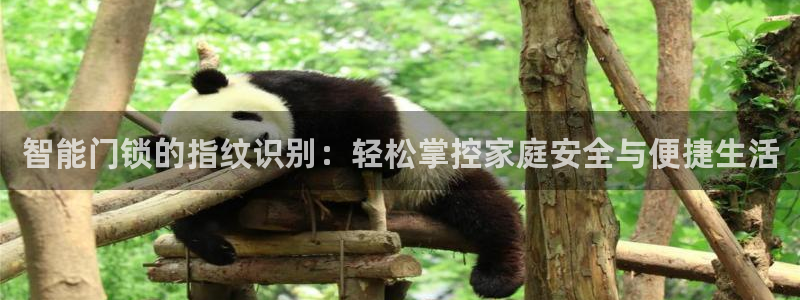 富联娱乐总代理是谁：智能门锁的指纹识别：轻松掌控家庭安全与便