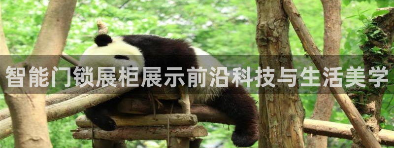 富联娱乐怎么样可靠吗：智能门锁展柜展示前沿科技与生活美学