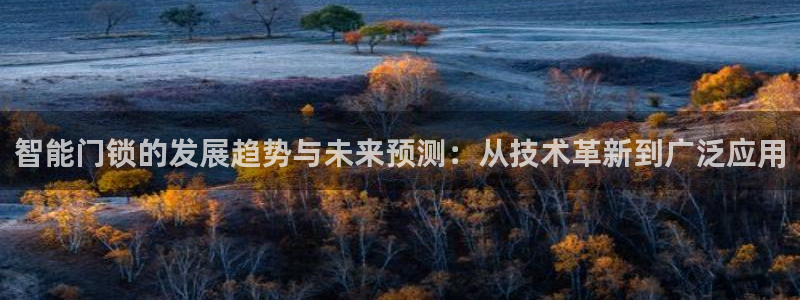 富联2娱乐贴吧：智能门锁的发展趋势与未来预测：从技术革新到广