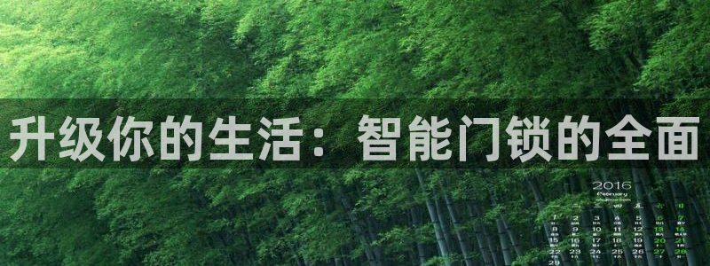 富联娱乐官网首页网址：升级你的生活：智能门锁的全面