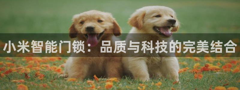 富联娱乐客户端下载不了：小米智能门锁：品质与科技的完美结合