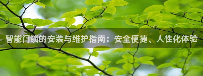 富联娱乐招商后原判官333OO：智能门锁的安装与维护指南：安